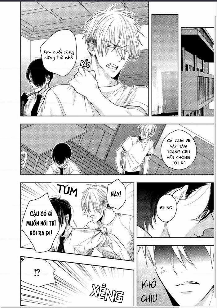Vết Cắn Tình Yêu 5 trang 19