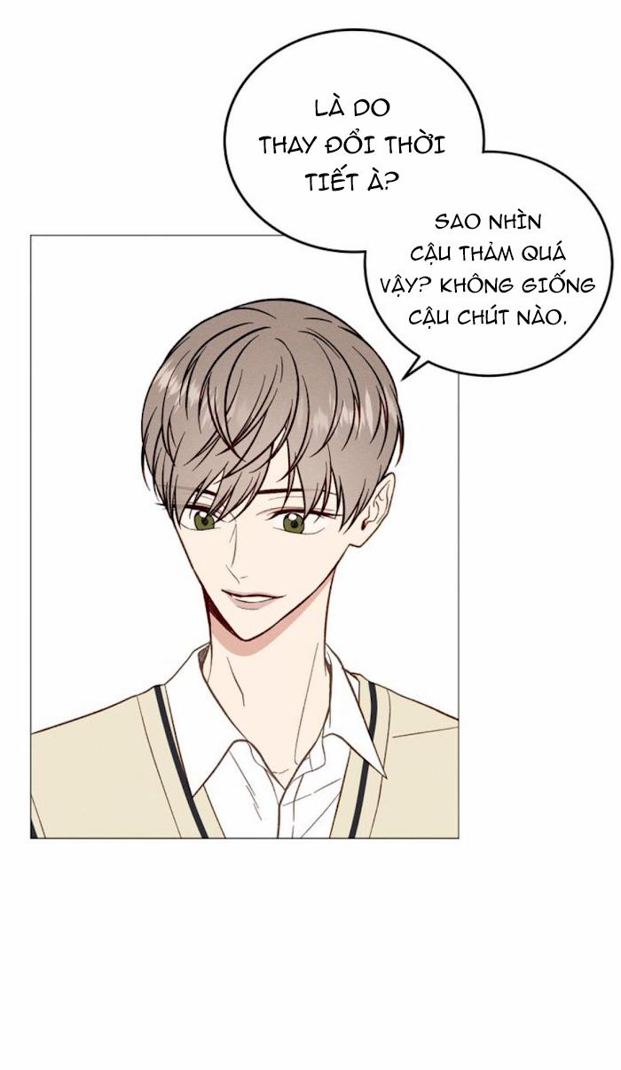 Vết Ố Nơi Tim 24.2 trang 6