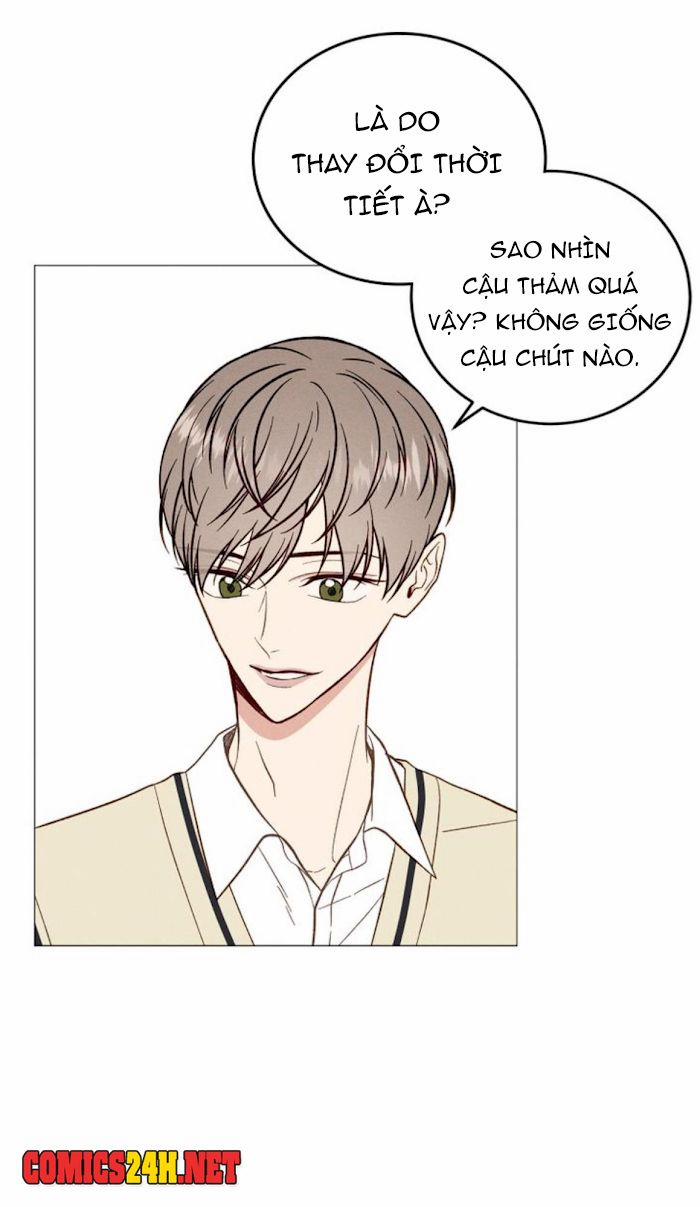 Vết Ố Nơi Tim 24 trang 39