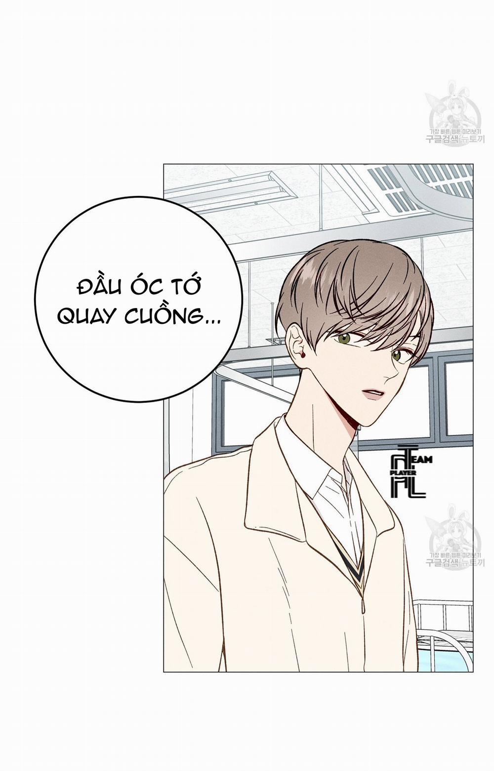 Vết Ố Nơi Tim 36 trang 5