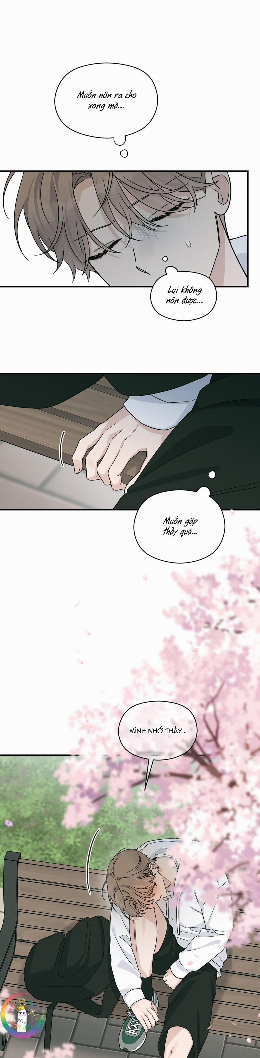 ✿ Vết Thương Alpha ✿ 14 trang 2