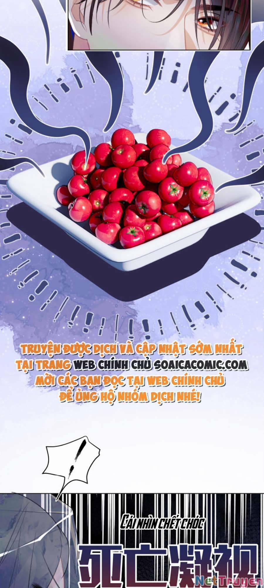 Vị Chỉ Huy Lạnh Lùng Đang Khóc Trong Vòng Tay Tôi 1 trang 11