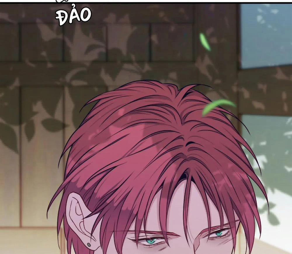 Vị Khách Mùa Hè 0 Kết thúc trang 2