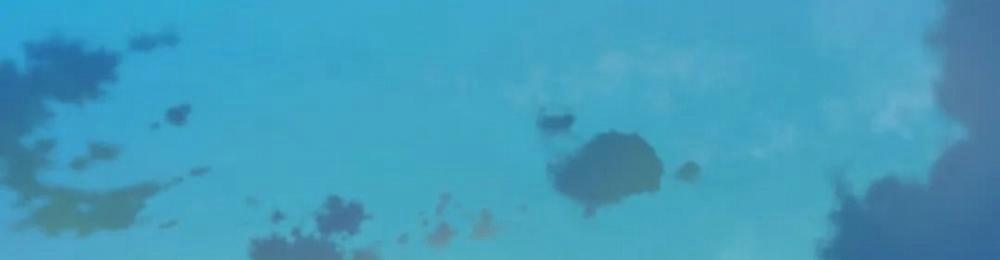 Vị Khách Mùa Hè 28 trang 261