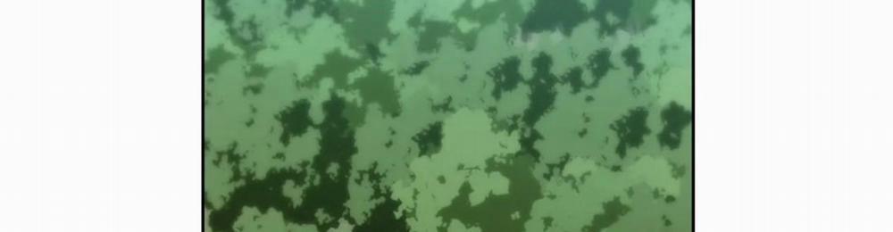 Vị Khách Mùa Hè 29 trang 379