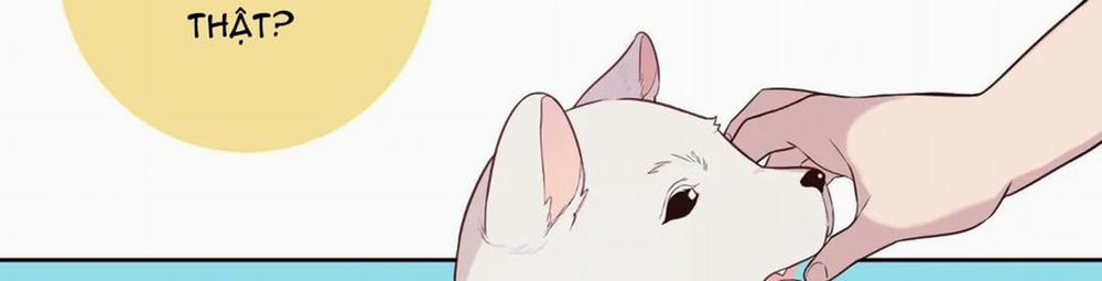 Vị Khách Mùa Hè 30 trang 339