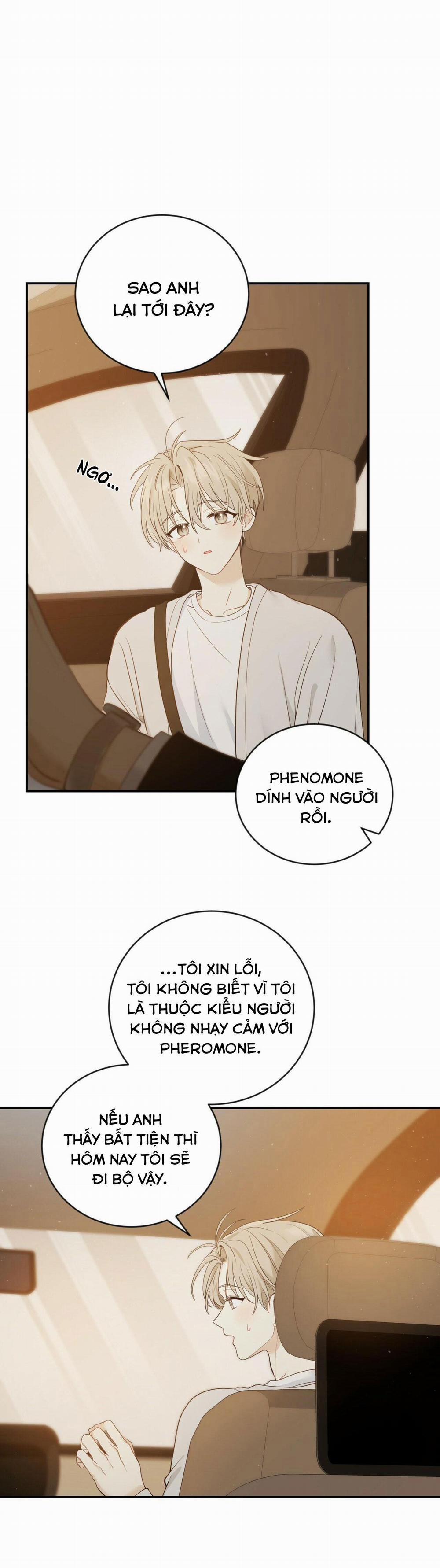 Vị Ngọt Không Đường (Sweet Not Sugar) 10 trang 1