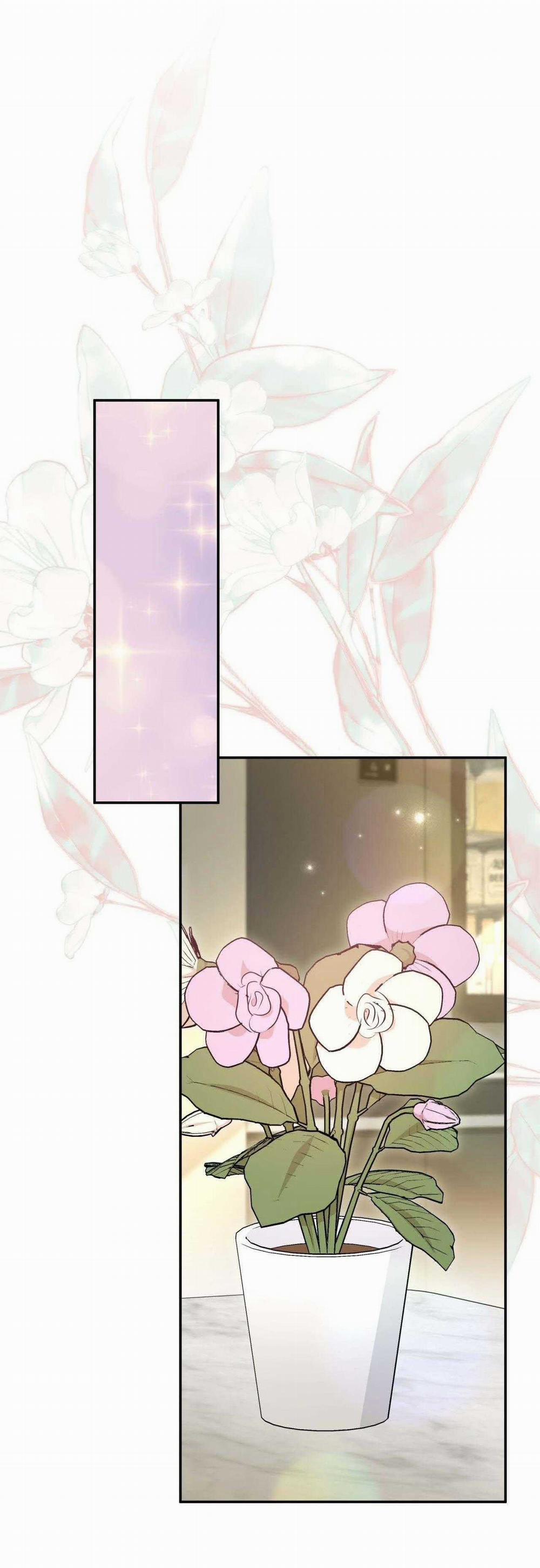 Vị Ngọt Không Đường (Sweet Not Sugar) 59 trang 12