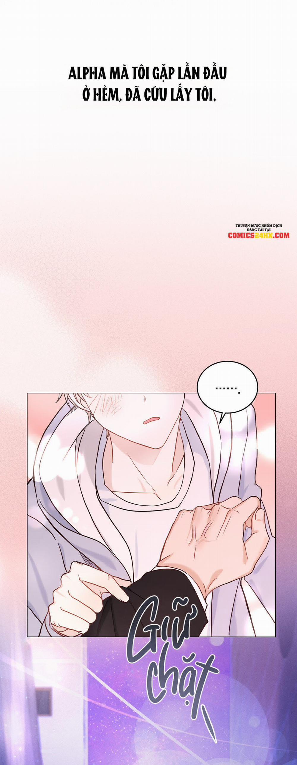 Vị Ngọt Không Đường 0 trang 5