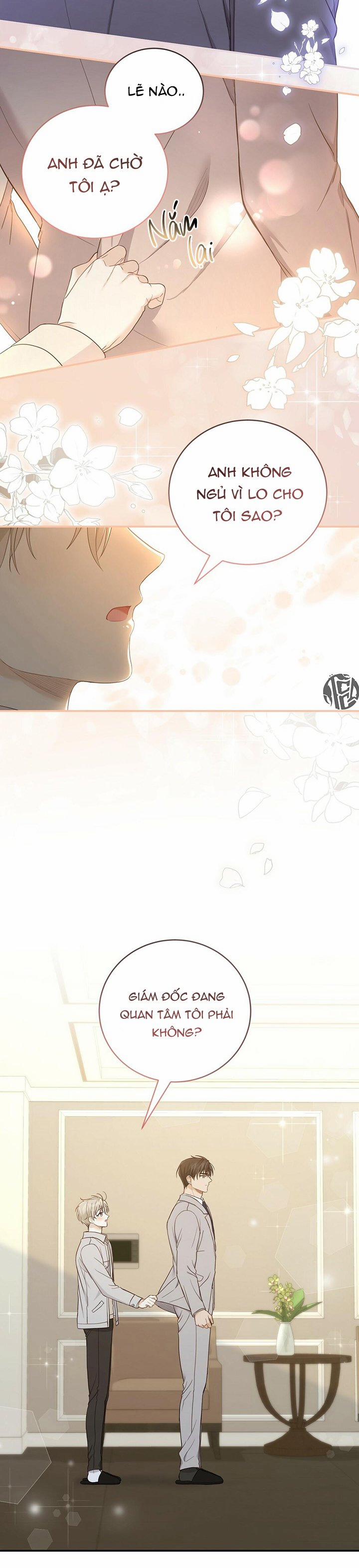 Vị Ngọt Không Đường 13 trang 14