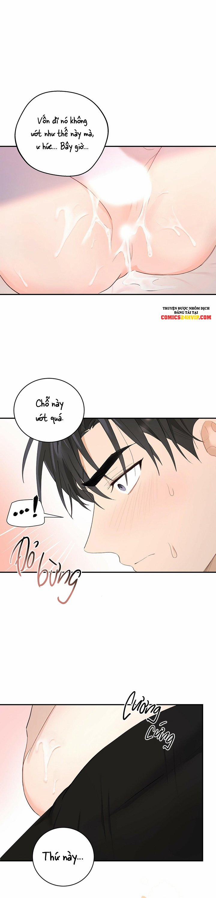 Vị Ngọt Không Đường 15 trang 1