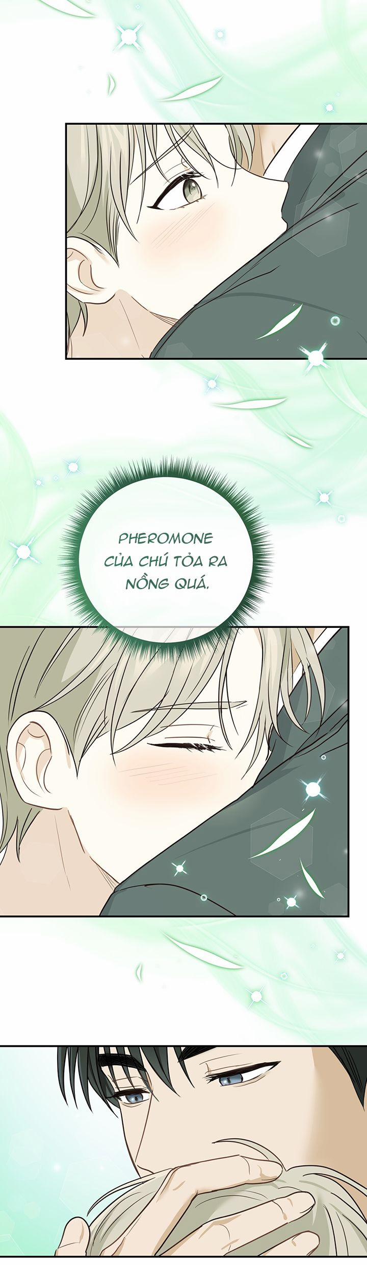 Vị Ngọt Không Đường 26 trang 12
