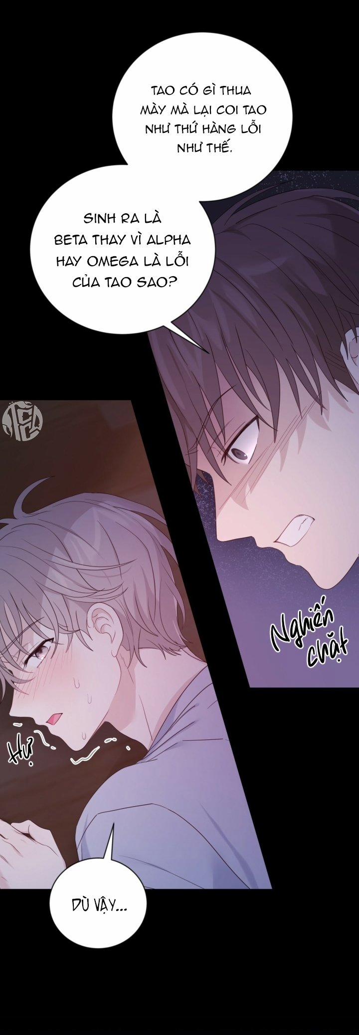 Vị Ngọt Không Đường 7 trang 6