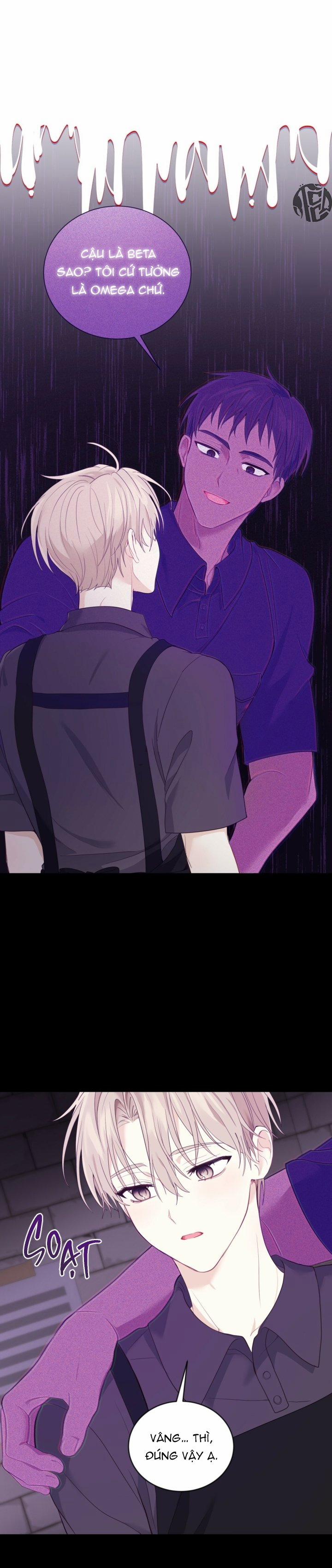 Vị Ngọt Không Đường 9 trang 23