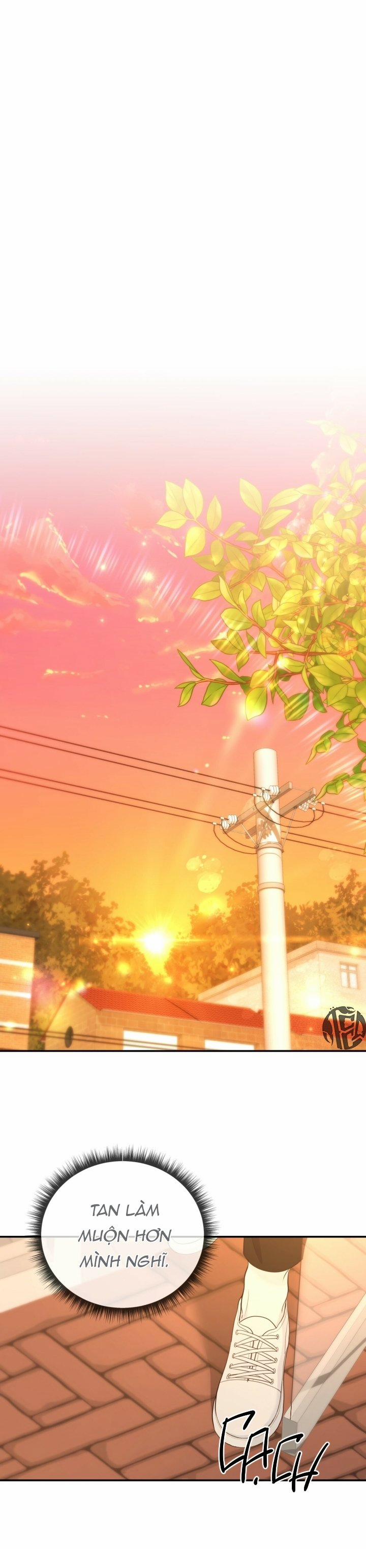 Vị Ngọt Không Đường 9 trang 5