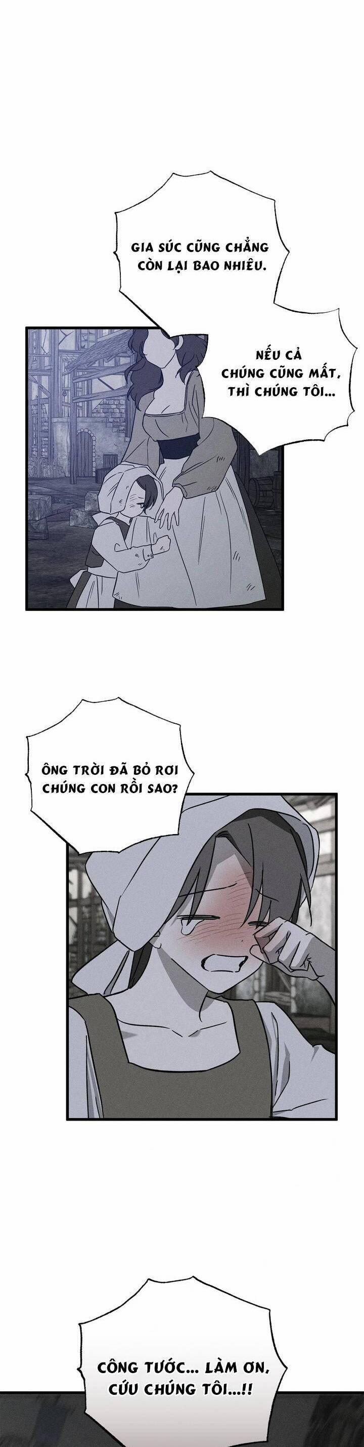 Vị Phu Quân Căm Ghét Tôi Đã Mất Trí Nhớ 52 trang 13