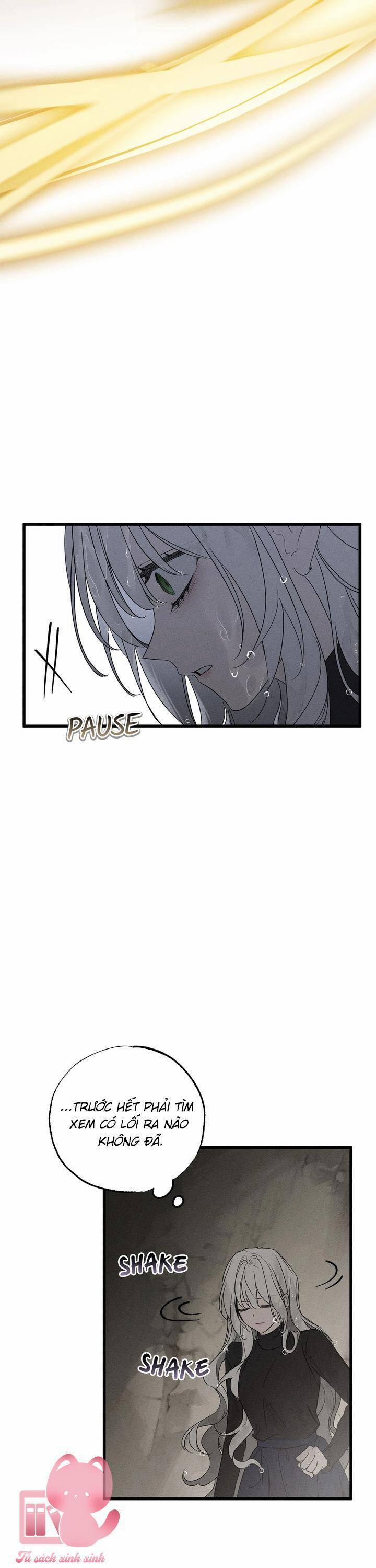 Vị Phu Quân Căm Ghét Tôi Đã Mất Trí Nhớ 61 trang 11