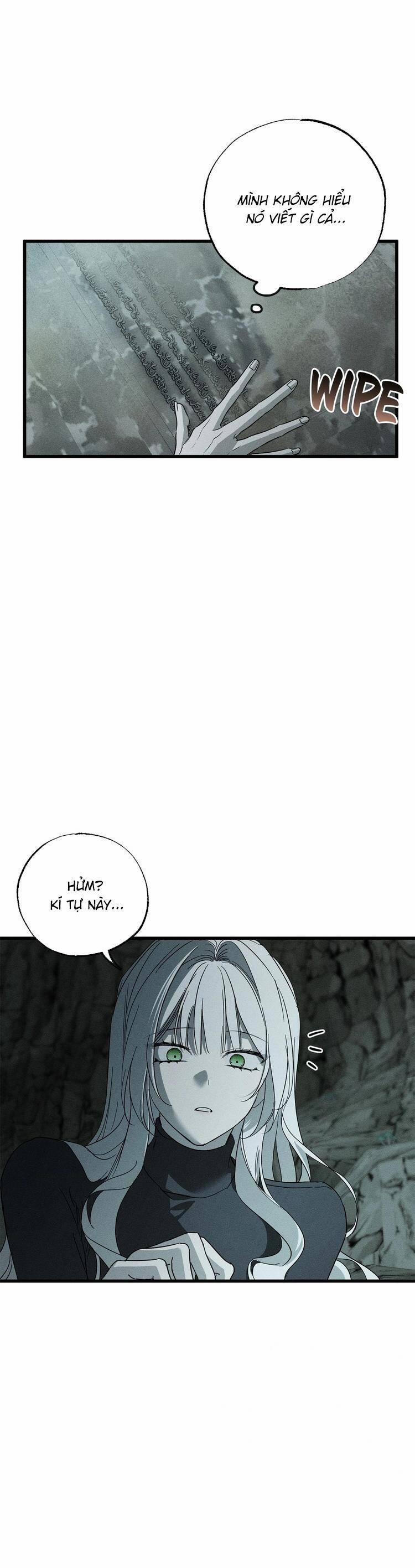 Vị Phu Quân Căm Ghét Tôi Đã Mất Trí Nhớ 62 trang 20