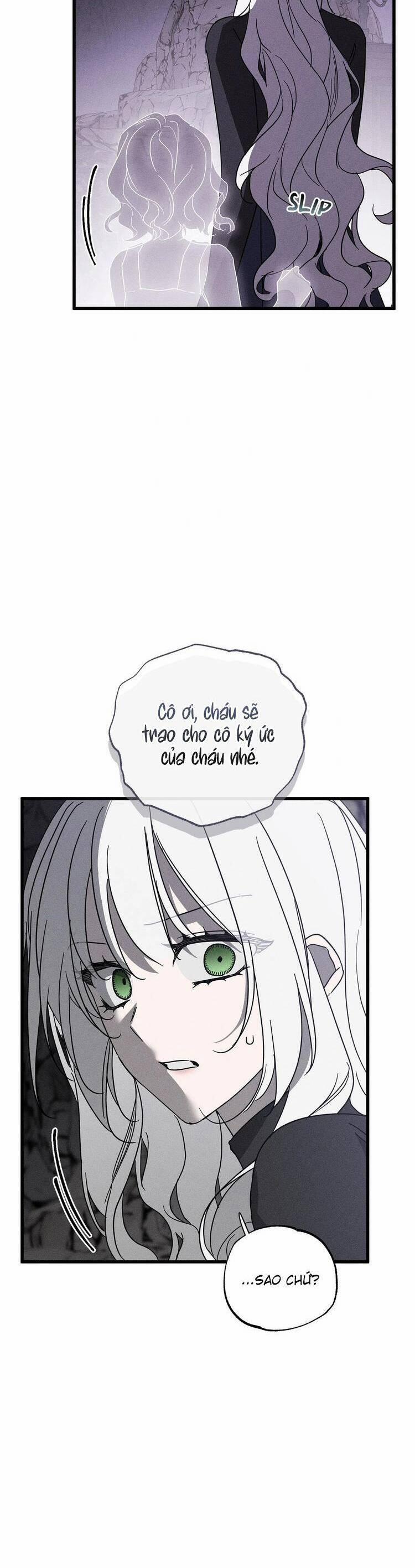 Vị Phu Quân Căm Ghét Tôi Đã Mất Trí Nhớ 63 trang 11