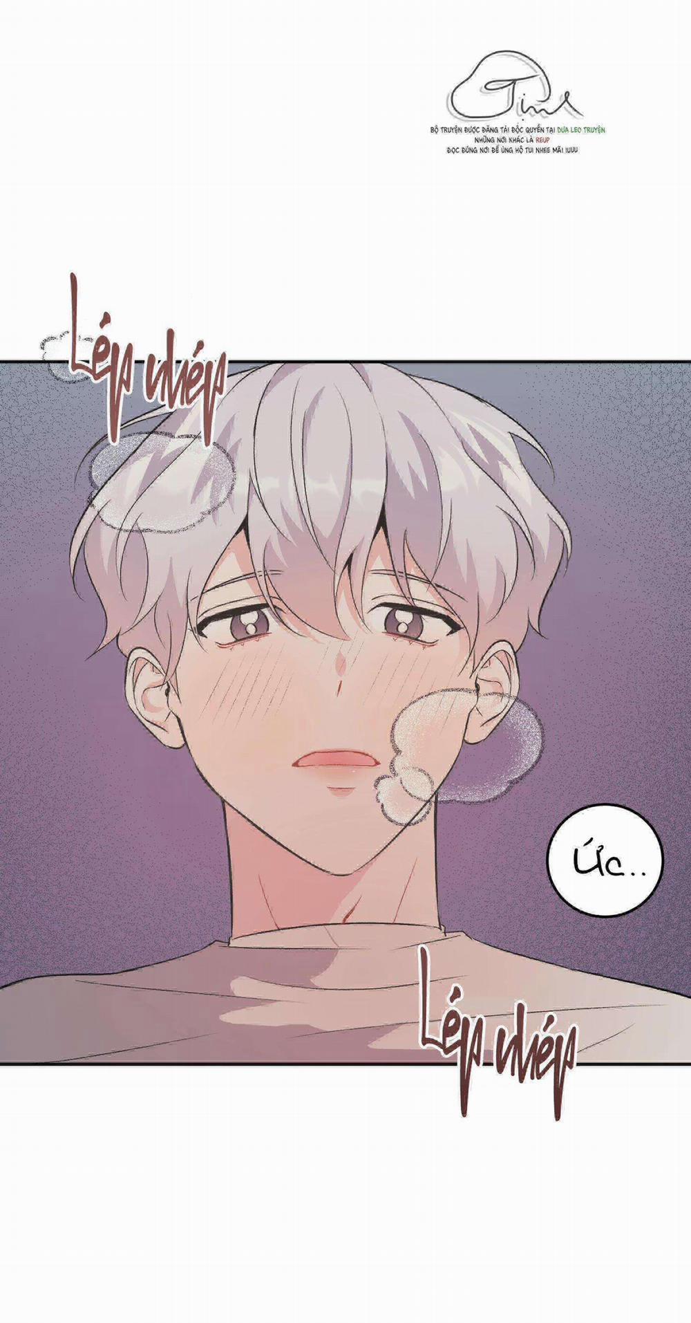 Vì Sự Vĩnh Cửu 13 trang 1