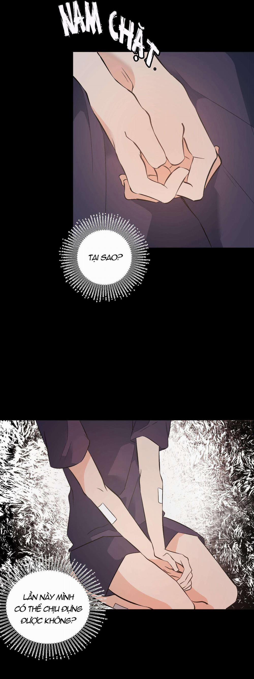 Vì Sự Vĩnh Cửu 14 trang 24