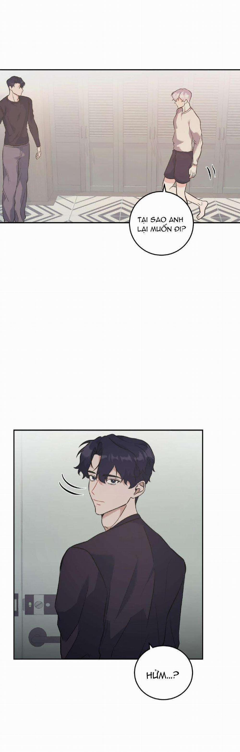 Vì Sự Vĩnh Cửu 15 trang 11