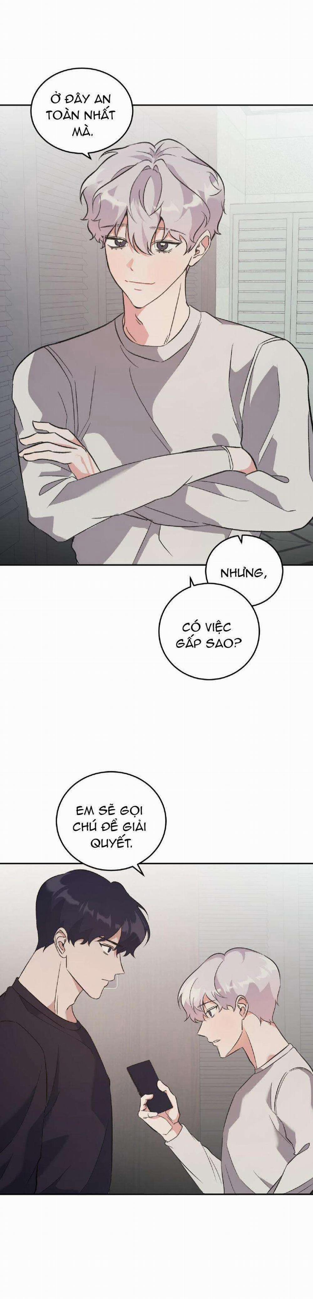 Vì Sự Vĩnh Cửu 15 trang 12