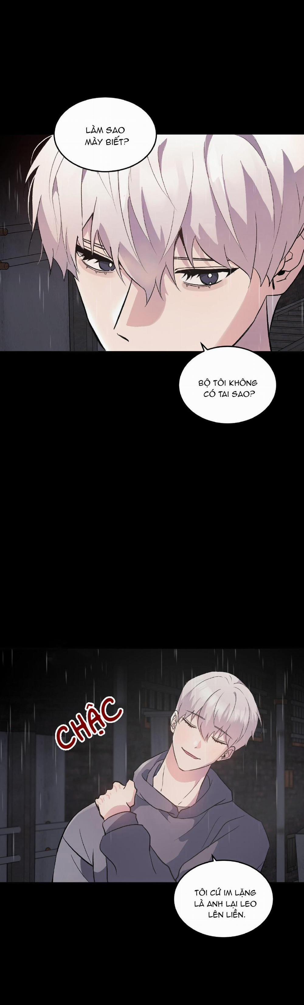 Vì Sự Vĩnh Cửu 18 trang 4