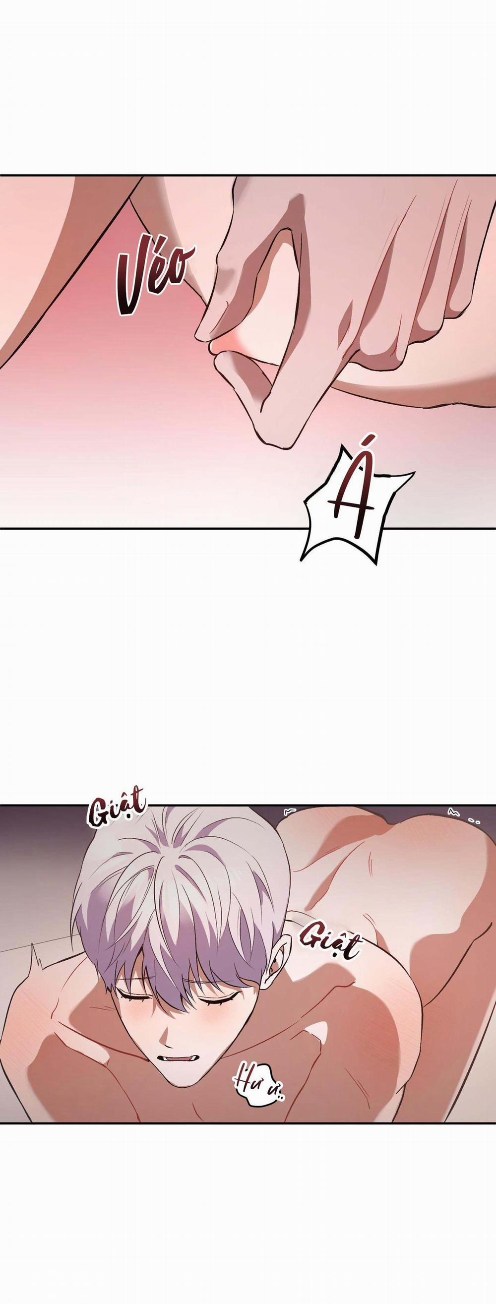 Vì Sự Vĩnh Cửu 22 trang 14