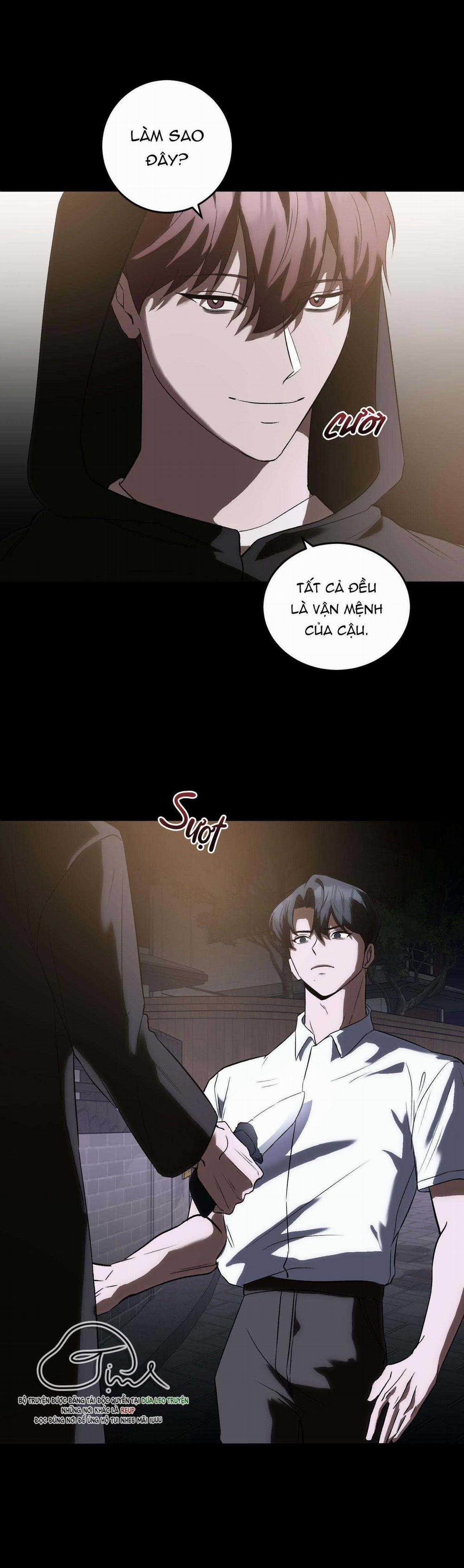 Vì Sự Vĩnh Cửu 23 trang 5