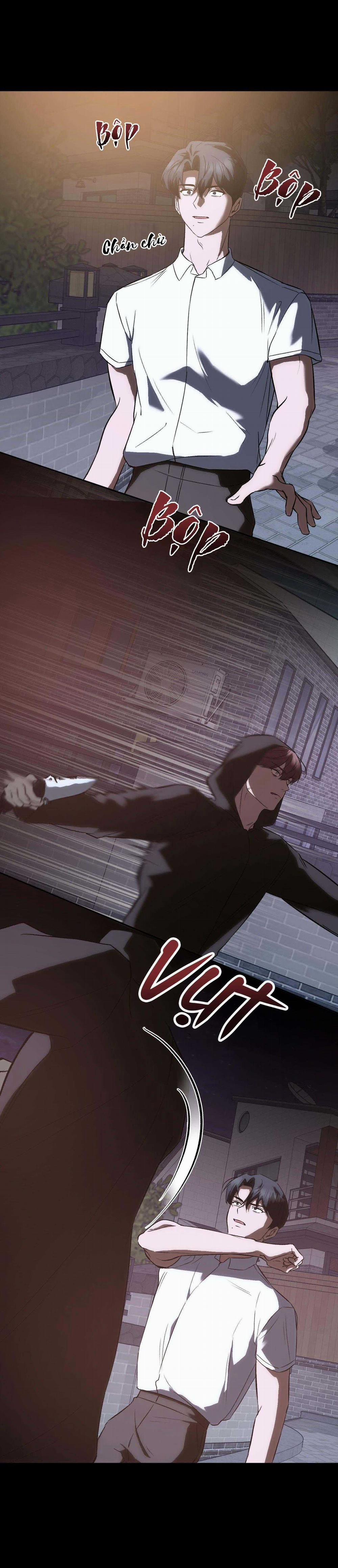 Vì Sự Vĩnh Cửu 23 trang 6