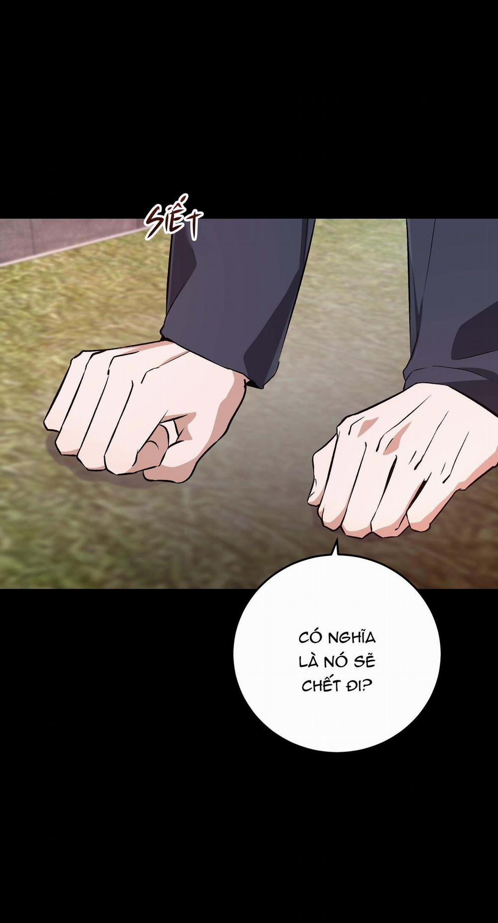 Vì Sự Vĩnh Cửu 30 -End trang 31