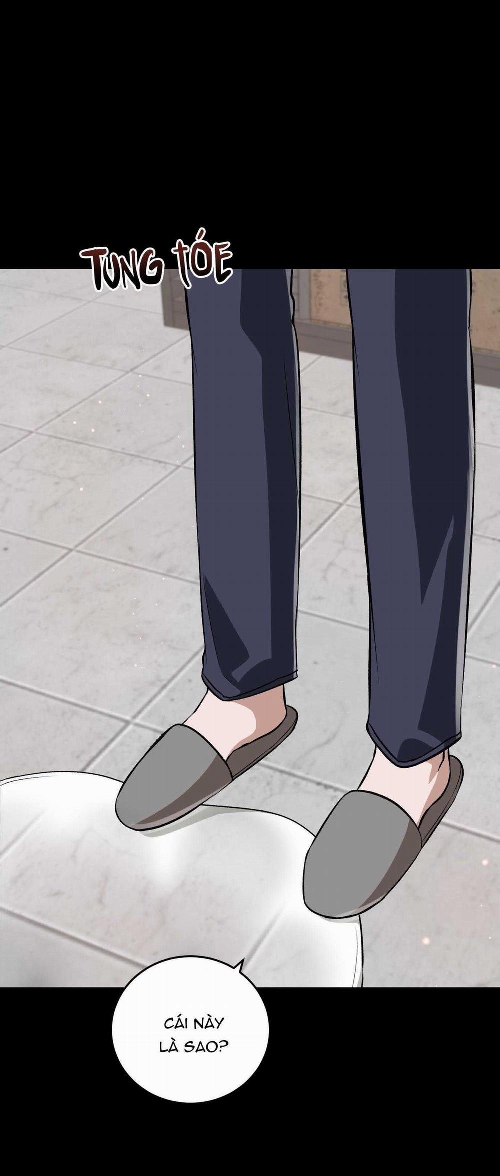 Vì Sự Vĩnh Cửu 30 trang 11