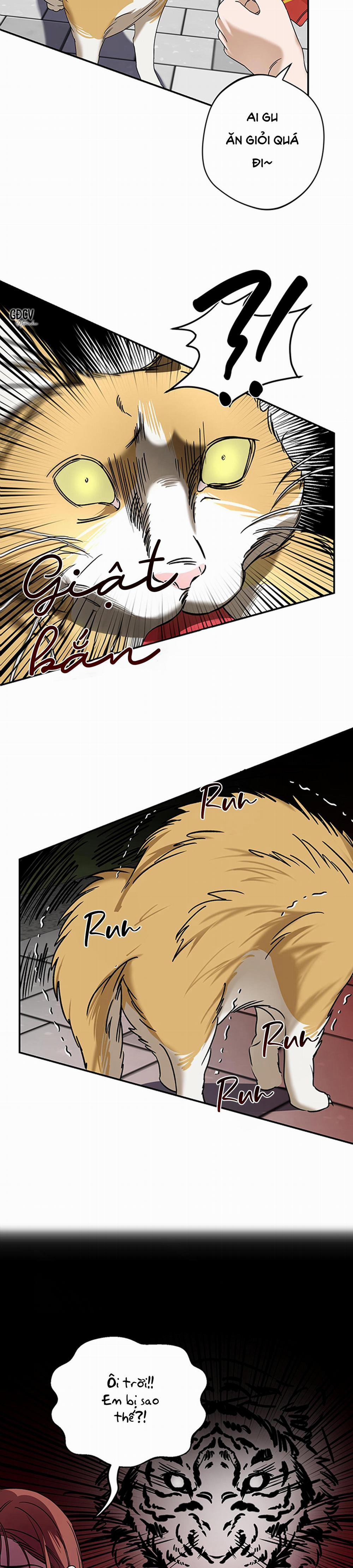 Vị Thần Tội Lỗi 1 trang 24