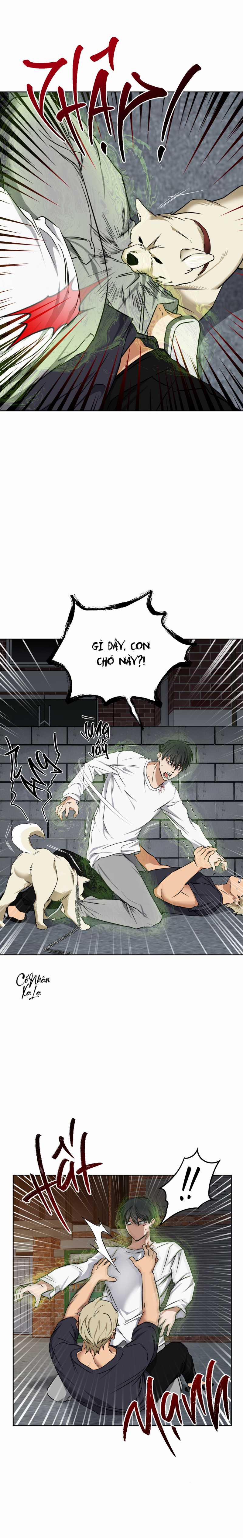 Vị Thần Tội Lỗi 11 trang 15
