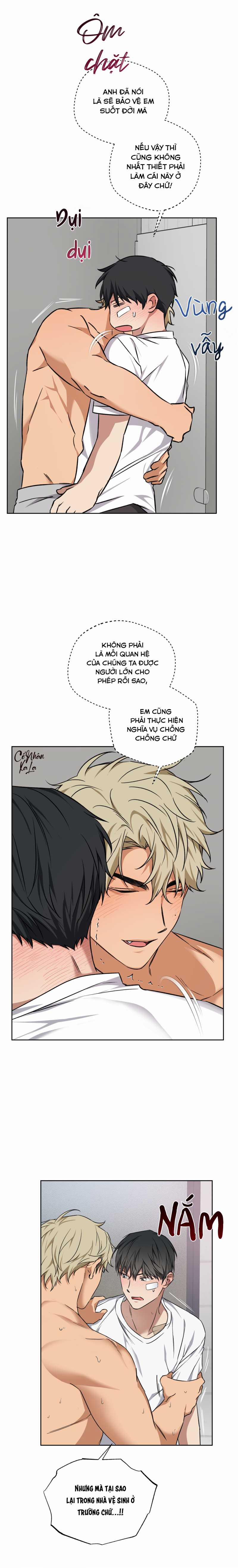 Vị Thần Tội Lỗi 12 trang 12