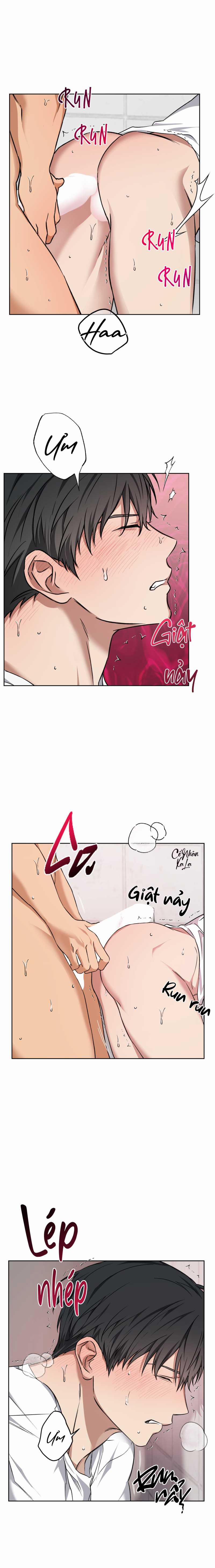 Vị Thần Tội Lỗi 12 trang 14