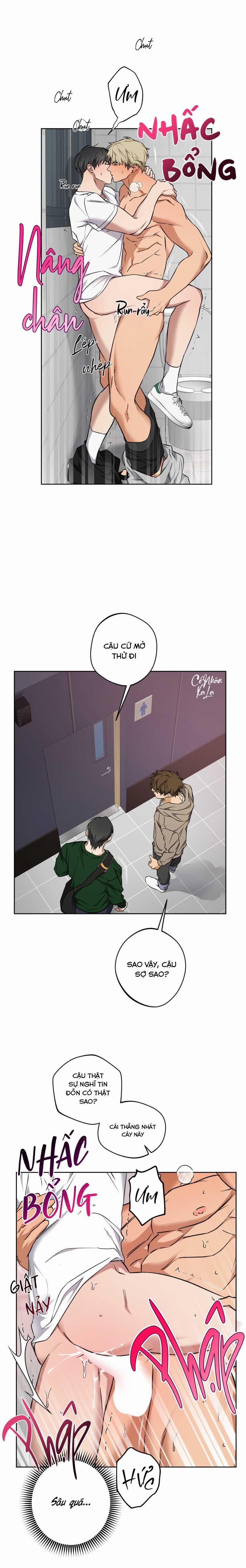 Vị Thần Tội Lỗi 12 trang 19