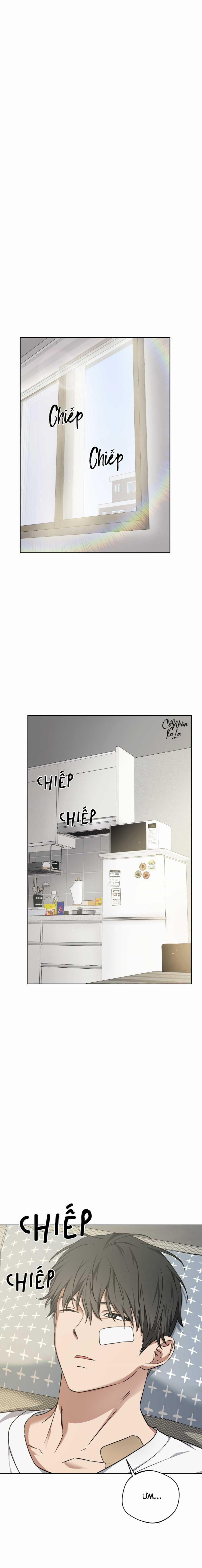 Vị Thần Tội Lỗi 12 trang 3