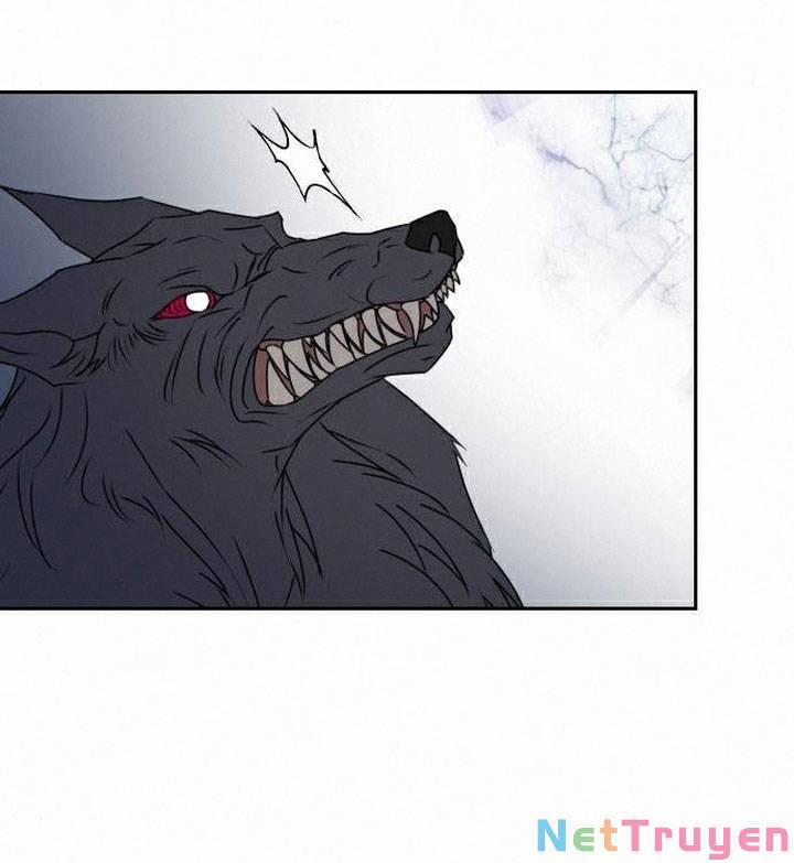 Vị Thánh Ẩn 19 trang 7