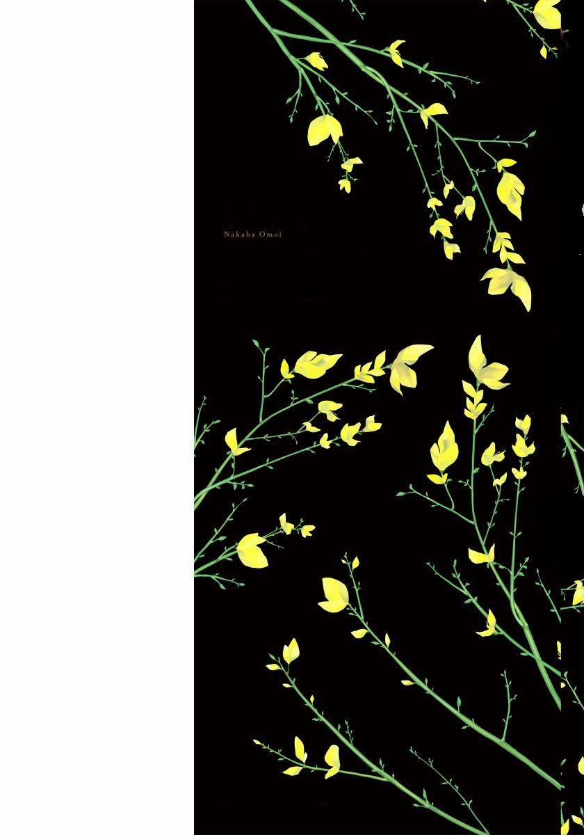 Vị Vua Mộng Mơ Về Cổ Tích Một Ngàn Lẻ Một Đêm 1 trang 2