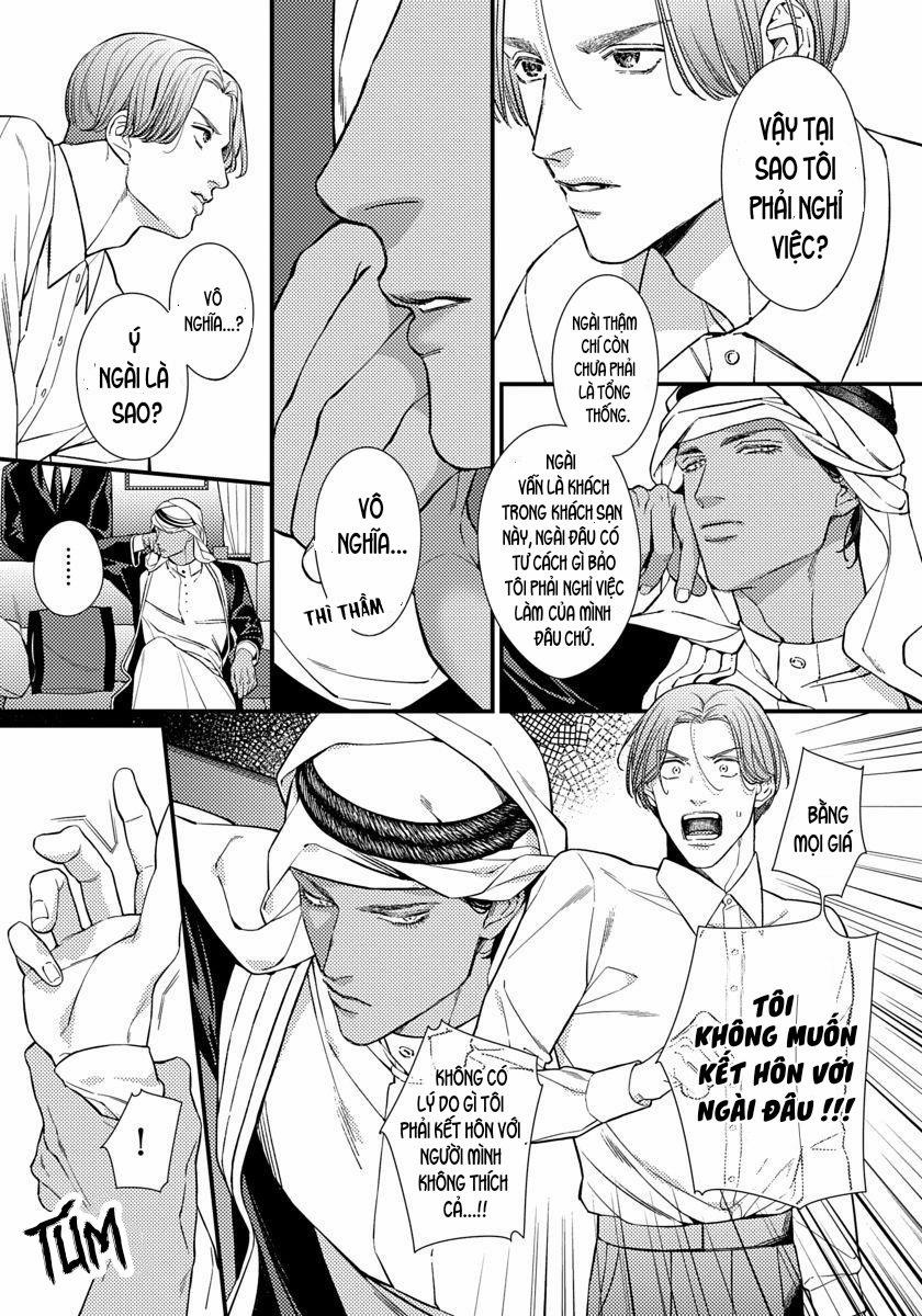 Vị Vua Mộng Mơ Về Cổ Tích Một Ngàn Lẻ Một Đêm 1 trang 21