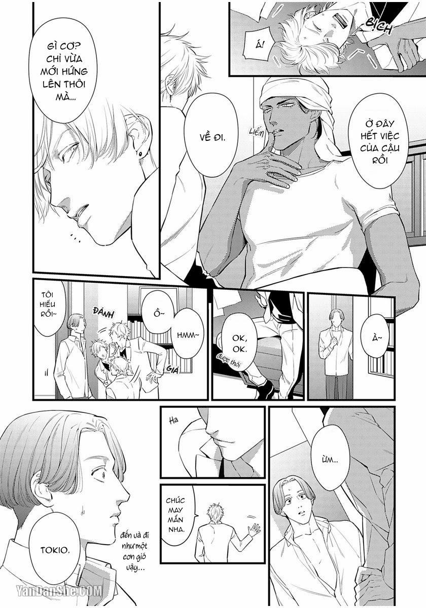 Vị Vua Quyến Rũ Mộng Mơ Về “Một Ngàn Lẻ Một Đêm 2 trang 19