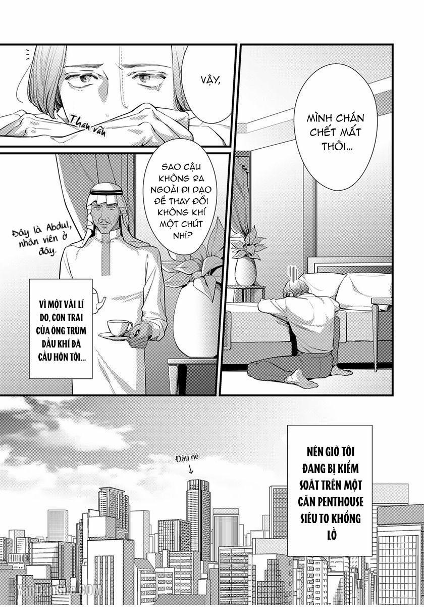 Vị Vua Quyến Rũ Mộng Mơ Về “Một Ngàn Lẻ Một Đêm 2 trang 3