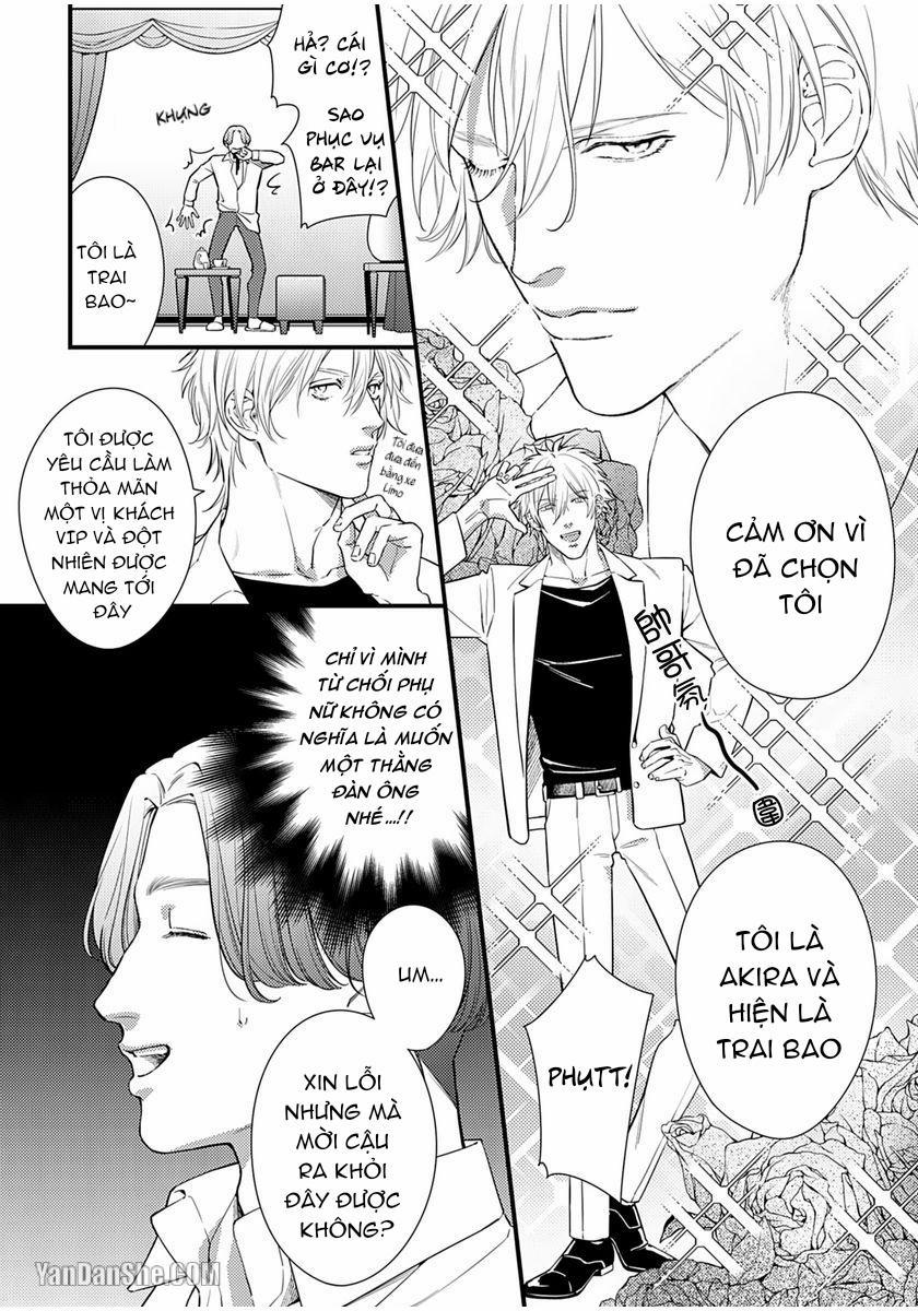 Vị Vua Quyến Rũ Mộng Mơ Về “Một Ngàn Lẻ Một Đêm 2 trang 8