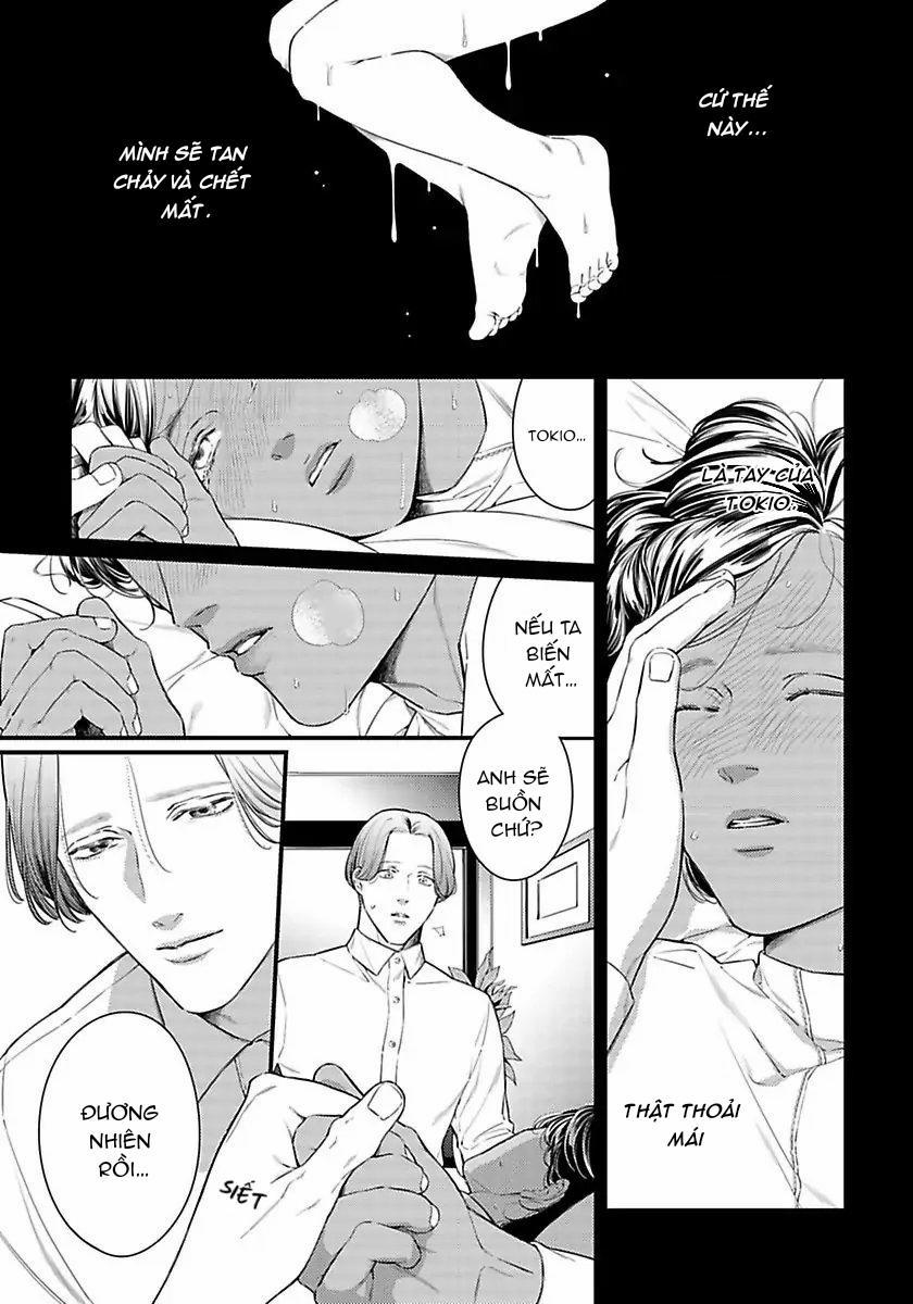 Vị Vua Quyến Rũ Mộng Mơ Về “Một Ngàn Lẻ Một Đêm 3 trang 14