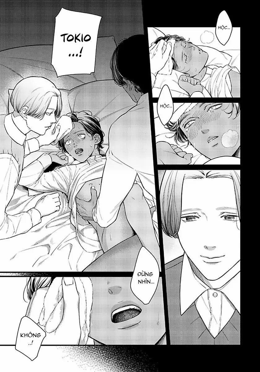 Vị Vua Quyến Rũ Mộng Mơ Về “Một Ngàn Lẻ Một Đêm 3 trang 17