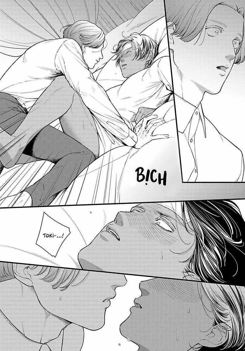 Vị Vua Quyến Rũ Mộng Mơ Về “Một Ngàn Lẻ Một Đêm 3 trang 19