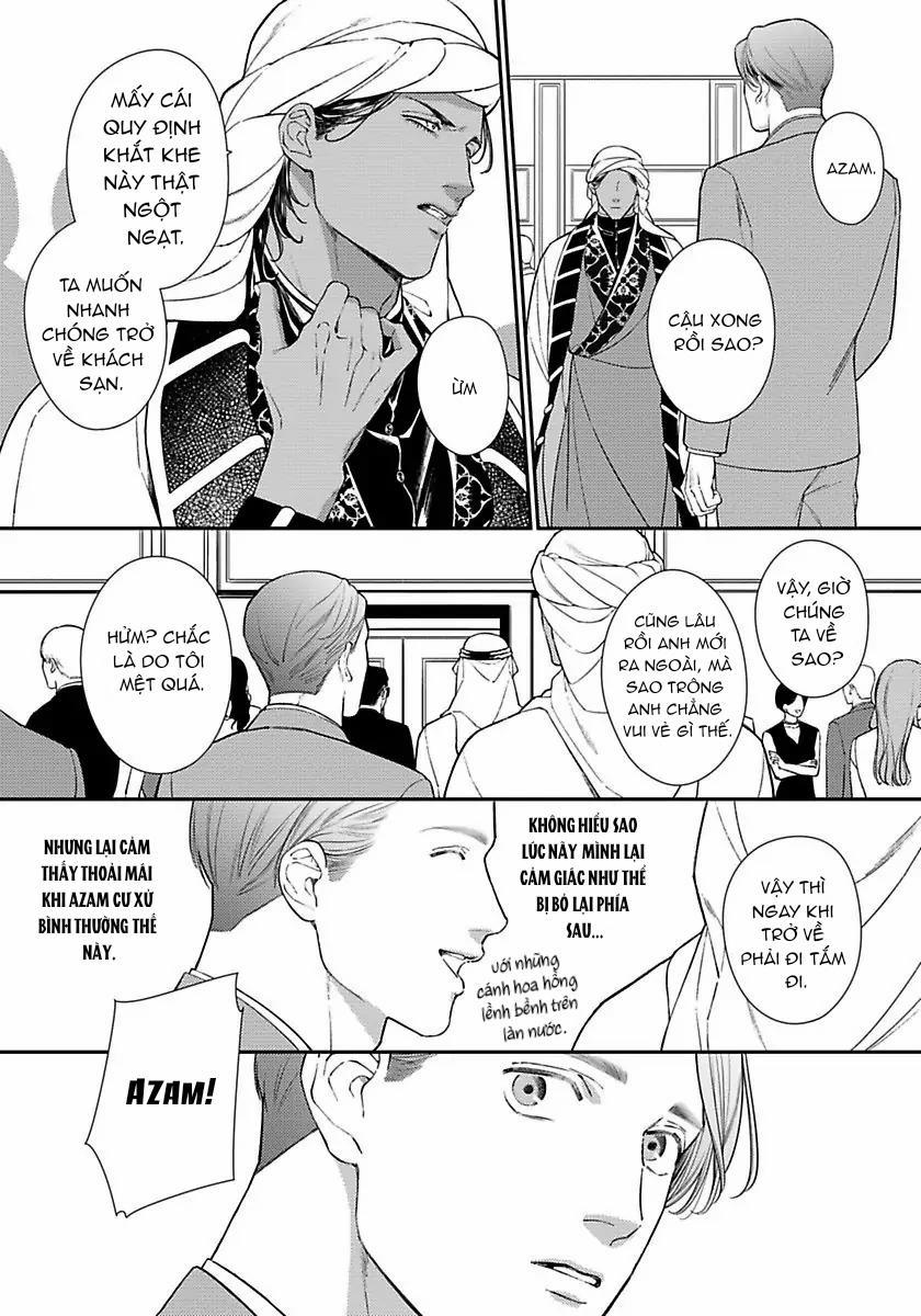 Vị Vua Quyến Rũ Mộng Mơ Về “Một Ngàn Lẻ Một Đêm 4 trang 13