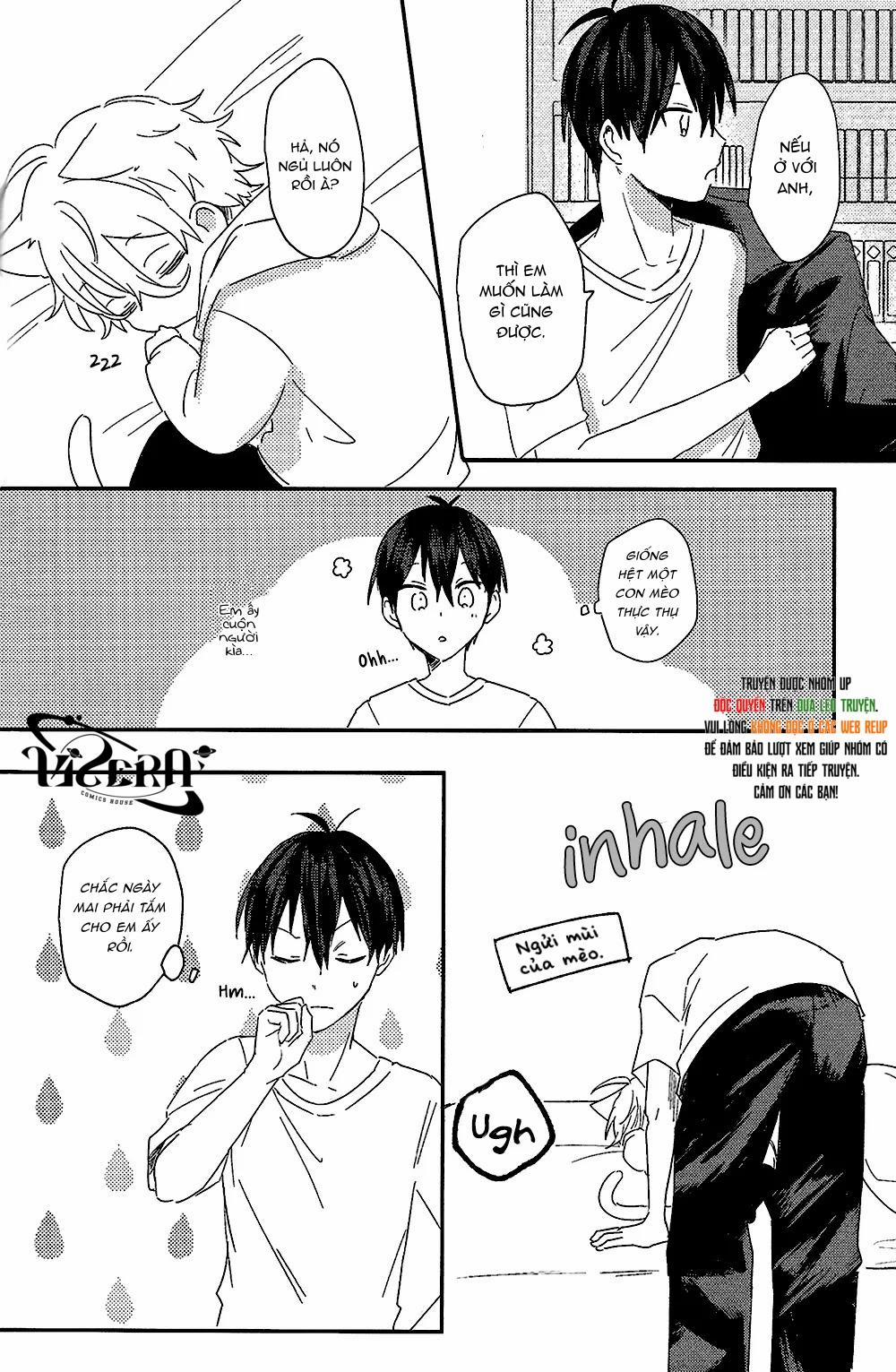 (Vicera) Blue Lock Dj 61 Nagi 0 Isagi trang 6